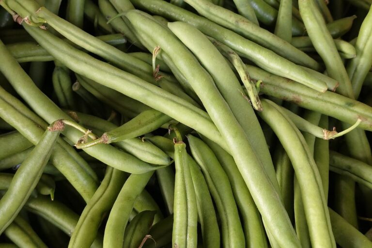 Green beans